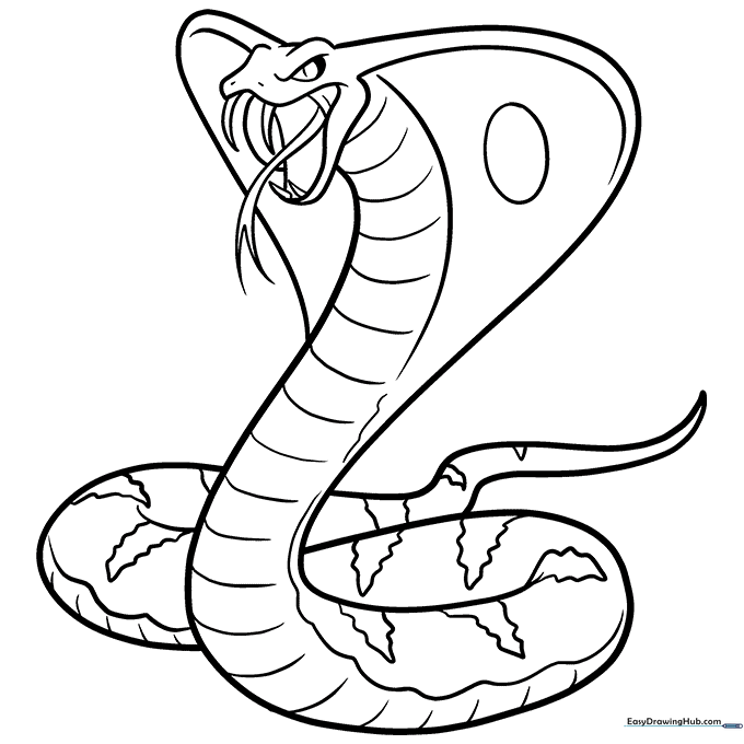 Cobra
