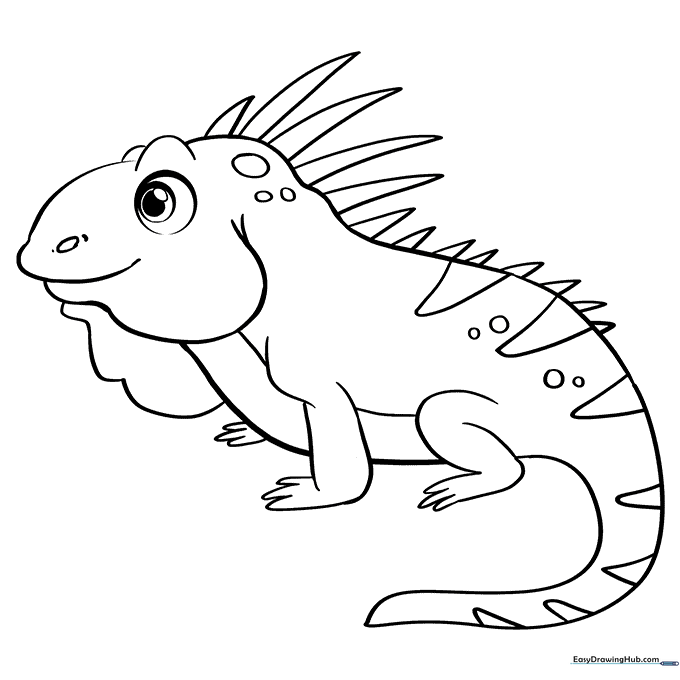 Iguana
