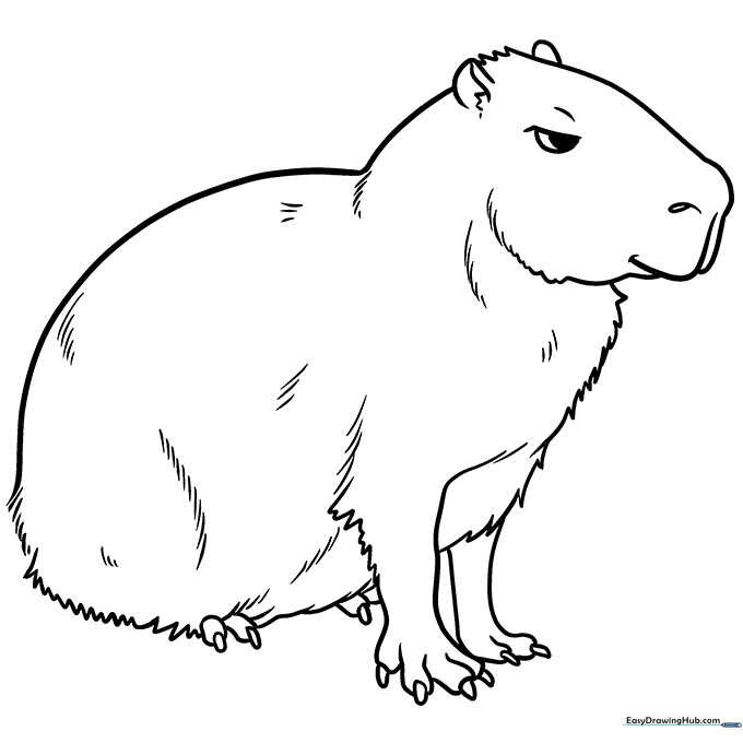 Capybara Coloring Sheet